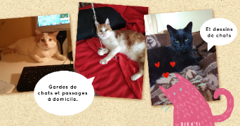 sophia pet sitter à ORLEANS 45000_1