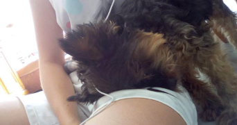 marina pet sitter à MONS EN BAROEUL 59370_9
