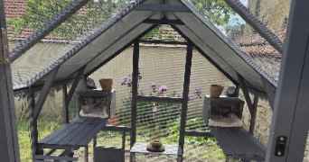 baloo pet sitter à MONTAIGU 02820_8