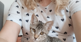 lucy cat sitter à MARSEILLE 01 13001_1