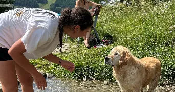 soraya pet sitter à VILLERS LES NANCY 54600