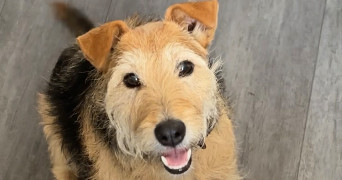 léa pet sitter à TOULON 83000_3