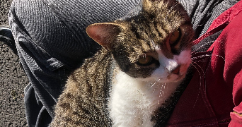 alicia pet sitter à POITIERS 86000_4