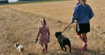 marlene pet sitter à AUNEAU BLEURY ST SYMPHORIEN 28700_98