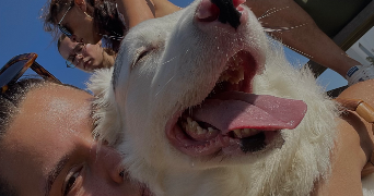 vanina pet sitter à MONSIREIGNE 85110_0