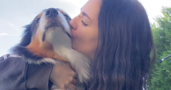 jade pet sitter à ORLEANS 45000_2