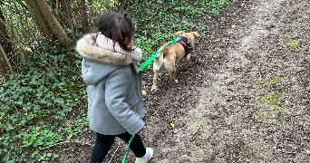 noémie pet sitter à GAMACHES 80220_1