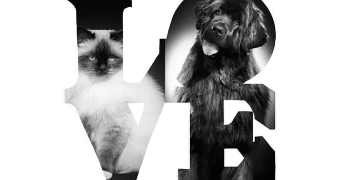 marylène pet sitter à MENNECY 91540