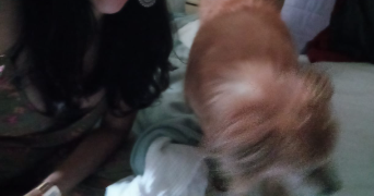 silvana pet sitter à BREST 29200_0