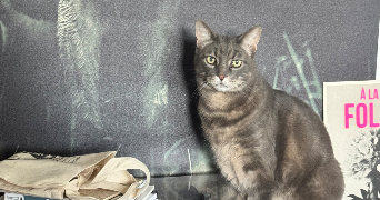 Solenne pet sitter à ANNECY 74940_8