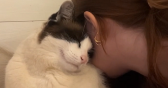 emma  pet sitter à Oberschaeffolsheim 67203_2