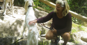 christiane pet sitter à MONTREDON LABESSONIE 81360