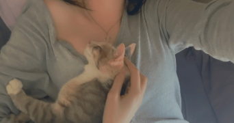 thémis pet sitter à PARIS 03 75003_3