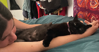 salomé pet sitter à MONTPELLIER 34070_2