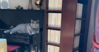 catherine pet sitter à BOULOGNE BILLANCOURT 92100_3