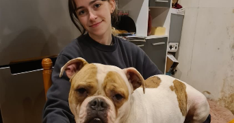 sklaerenn pet sitter à RENNES 35000_3