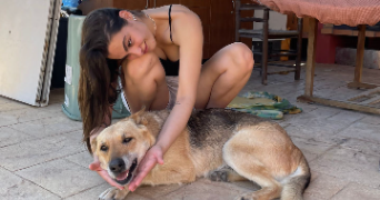 paula dog sitter à AIX EN PROVENCE 13100_9