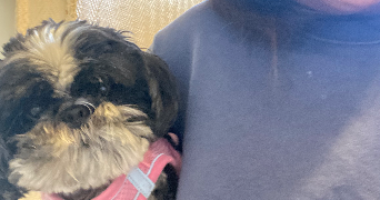 raini pet sitter à BOIS COLOMBES 92270_1