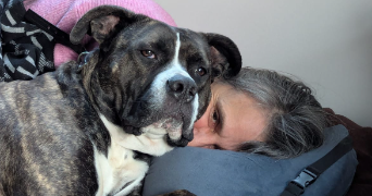 mylene pet sitter à CHATEAUNEUF 85710_1