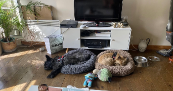 emma pet sitter à Paris 75016_3