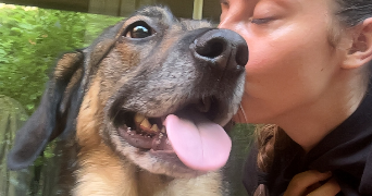 camille pet sitter à NIMES 30000_2