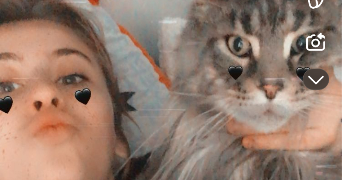 oceane pet sitter à LA SEYNE SUR MER 83500_0