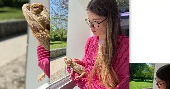 faustine pet sitter à CAMBRAI 59400