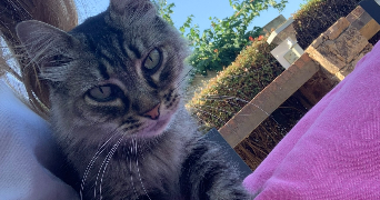 inès pet sitter à PARIS 17 75017_3