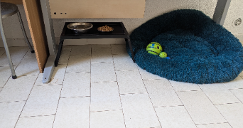guerreiro viseu pet sitter à NIMES 30000_6