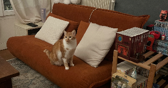 emma pet sitter à MALAKOFF 92240_2