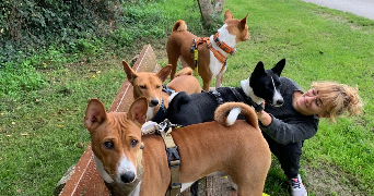 pierreline pet sitter à HOUILLES 78800_1