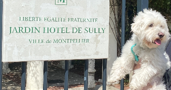 lucie pet sitter à Le Mans 72000_2