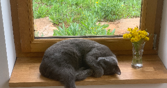 louisa pet sitter à CAZALS 82140_5