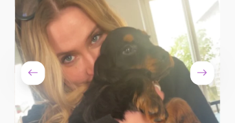 alix dog sitter à MALAKOFF 92240_2