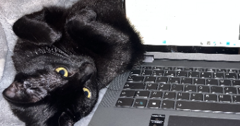 giulia pet sitter à PARIS 18 75018_3