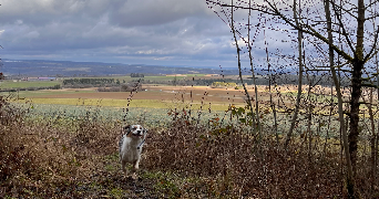 maelys pet sitter à Dijon  21000_4