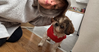 delphy pet sitter à VILLEURBANNE 69100_4