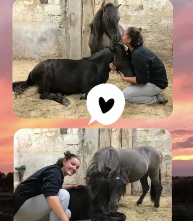 Joane  pet sitter à Grisy-Suisnes 77166_1