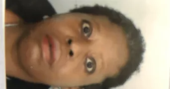 angele pet sitter à PARIS 12 75012