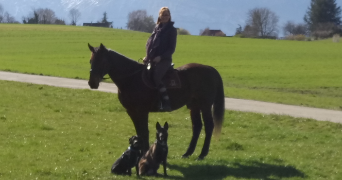 nathalie dog sitter à Brié-et-Angonnes 38320_2