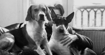 chloé pet sitter à PARIS 15 75015_2
