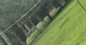 jessica pet sitter à LOUVIERS 27400_5