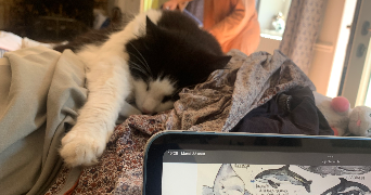 elise pet sitter à Le havre 76430_5