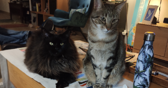 emma pet sitter à PARIS 14 75014_1