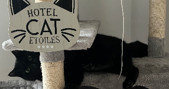 natacha pet sitter à DRUMETTAZ CLARAFOND 73420_6