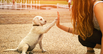 charline pet sitter à LYON 07 69007_3