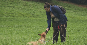 laura pet sitter à ST DENIS D ORQUES 72350_1