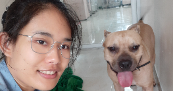 maturos pet sitter à MARSEILLE 14 13014_0