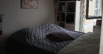 leila cat sitter à ARGENTEUIL 95100_6