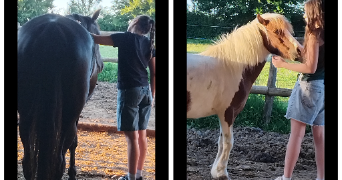 christine  pet sitter à POUZAY 37800_20